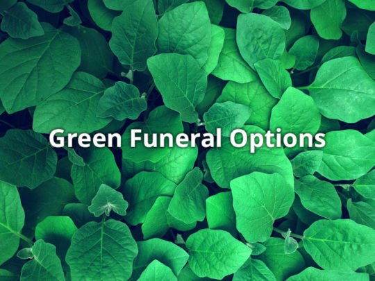 Six Eco-Friendly Green Funeral Options