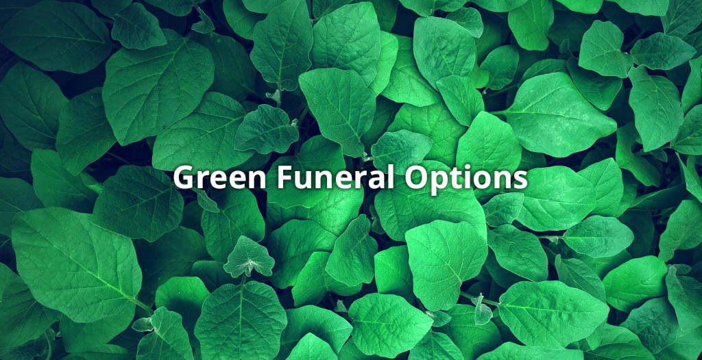 Eco-Friendly Green Funeral Options - Funeralocity